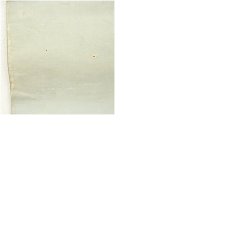 画像10: 聖徳太子尊像写　肉筆絹本掛軸 (10)