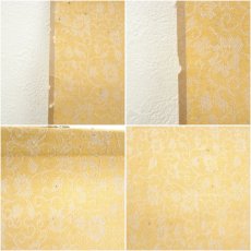画像8: 翠石筆　白頭富貴　花鳥図　肉筆絹本掛軸 (8)