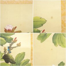 画像9: 翠石筆　白頭富貴　花鳥図　肉筆絹本掛軸 (9)