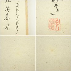 画像7: 前大徳　雪尾要道筆　「桃花笑春風」松泉筆　立雛画賛　横物　肉筆紙本掛軸（共箱） (7)