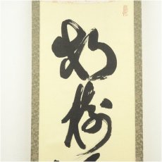 画像3: 前大徳　藤井誡堂筆　「松樹千年翠」一行書　肉筆紙本掛軸（共箱） (3)