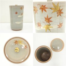 画像6: 京焼　橋本紫雲造　乾山写紅葉文細水指（共箱） (6)