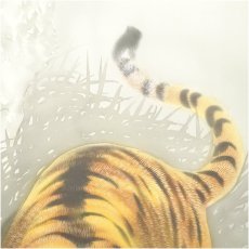画像3: 中村耕石筆　猛虎　肉筆絹本掛軸（共箱） (3)