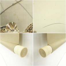 画像8: 今井景樹筆　月下游鶉　肉筆絹本掛軸（共箱） (8)