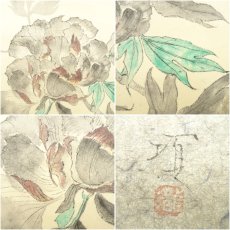 画像6: 瀧田項一筆　牡丹　肉筆紙本掛軸（共箱） (6)
