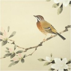 画像4: 山田帆丘筆　躑躅小禽　肉筆絹本掛軸（共箱） (4)