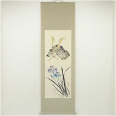 画像1: 小林五浪筆　兜　肉筆紙本掛軸（共箱・二重箱） (1)
