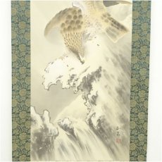 画像4: 小堀正泉筆　鷹　肉筆絹本掛軸（共箱） (4)