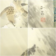 画像6: 小堀正泉筆　鷹　肉筆絹本掛軸（共箱） (6)