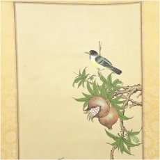 画像3: 藍恵筆　柘榴に小禽　肉筆絹本掛軸 (3)