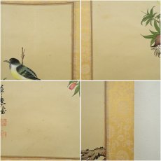画像7: 藍恵筆　柘榴に小禽　肉筆絹本掛軸 (7)