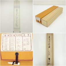 画像7: 前大徳　小室大心筆　「平常心是道」一行書　肉筆紙本掛軸（共箱） (7)