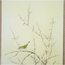 画像3: 田村竹世筆　紅梅に鶯　肉筆絹本掛軸（箱付） (3)