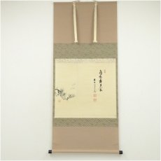 画像1: 前大徳　須賀玄道筆　「白鶴舞老松」松画賛　横物　肉筆紙本掛軸（共箱） (1)