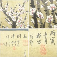 画像6: 中国　王暉筆　玉樹清暉　白梅図　肉筆紙本掛軸 (6)
