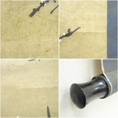 画像9: 中国　王暉筆　玉樹清暉　白梅図　肉筆紙本掛軸 (9)