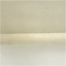 画像5: 山田唐僊筆　川蝉図　肉筆絹本掛軸 (5)
