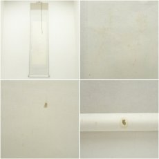 画像8: 佐藤純吉筆　富貴花　肉筆紙本掛軸（共箱） (8)