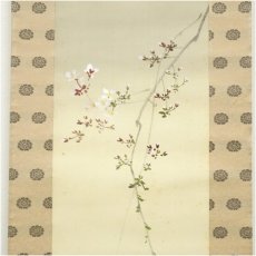 画像4: 今井景樹筆　月に夜桜　肉筆絹本掛軸（共箱） (4)