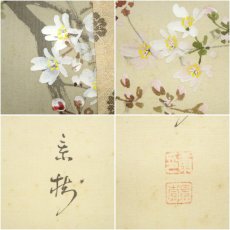 画像6: 今井景樹筆　月に夜桜　肉筆絹本掛軸（共箱） (6)