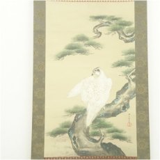 画像2: 狩野祐信　白鷹　印刷絹本掛軸（共箱） (2)