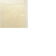 画像10: 皓紅筆　松竹梅鶴亀　肉筆絹本掛軸 (10)