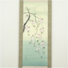 画像2: 春秋筆　桜に小禽　肉筆絹本掛軸 (2)