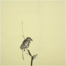 画像3: 野田雪邨筆　宮本武蔵写　枯木鳴鵙　肉筆絹本掛軸（共箱） (3)
