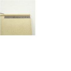 画像9: 石舟筆　花鳥図　肉筆絹本掛軸（箱付） (9)