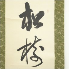 画像3: 香邨筆　「松樹千年翠」一行書　肉筆紙本掛軸（共箱） (3)