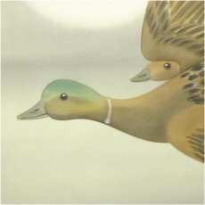 画像3: 大幹筆　鴨　肉筆絹本掛軸（箱付） (3)