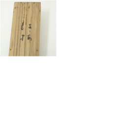 画像10: 高浜虚子筆　「紅梅」俳句　肉筆紙本掛軸（共箱） (10)