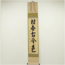 画像1: 大徳寺　藤田寛道筆　「松無古今色」一行書　肉筆紙本掛軸（共箱） (1)