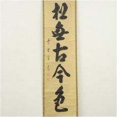 画像2: 大徳寺　藤田寛道筆　「松無古今色」一行書　肉筆紙本掛軸（共箱） (2)