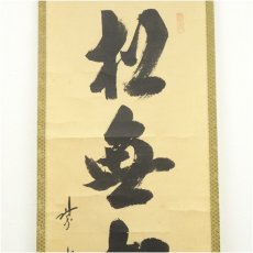 画像3: 大徳寺　藤田寛道筆　「松無古今色」一行書　肉筆紙本掛軸（共箱） (3)