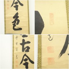 画像6: 大徳寺　藤田寛道筆　「松無古今色」一行書　肉筆紙本掛軸（共箱） (6)