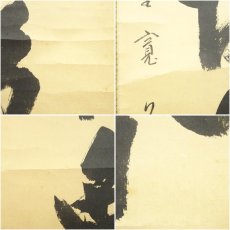 画像7: 大徳寺　藤田寛道筆　「松無古今色」一行書　肉筆紙本掛軸（共箱） (7)
