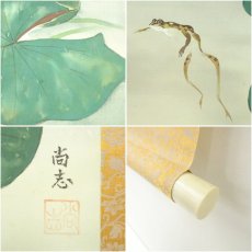 画像6: 尚志筆　池　蛙図　肉筆絹本掛軸（箱付） (6)