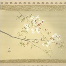 画像2: 今井景樹筆　夜桜　肉筆絹本掛軸（共箱） (2)