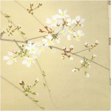画像3: 今井景樹筆　夜桜　肉筆絹本掛軸（共箱） (3)