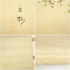 画像6: 今井景樹筆　夜桜　肉筆絹本掛軸（共箱） (6)