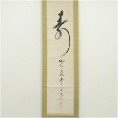 画像2: 妙心寺　古川大航筆　「寿」一字　肉筆紙本掛軸（箱付） (2)
