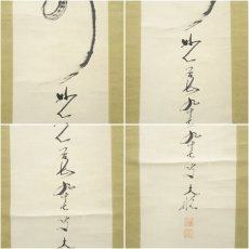 画像6: 妙心寺　古川大航筆　「寿」一字　肉筆紙本掛軸（箱付） (6)