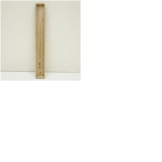 画像10: 華光筆　四季花　肉筆絹本掛軸（共箱） (10)