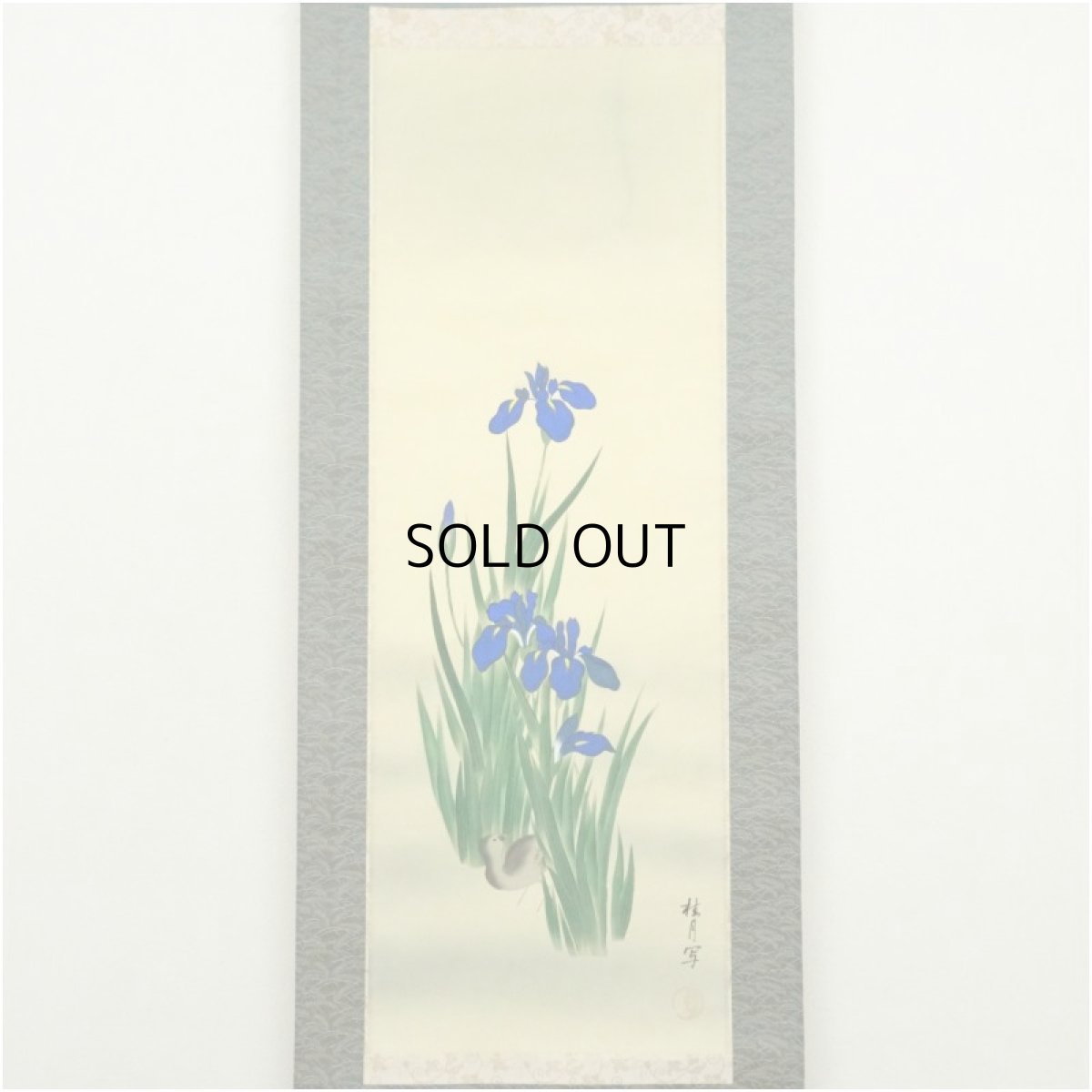 画像2: 桂月筆　菖蒲に小禽　肉筆絹本掛軸（保護箱） (2)