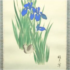 画像4: 桂月筆　菖蒲に小禽　肉筆絹本掛軸（保護箱） (4)