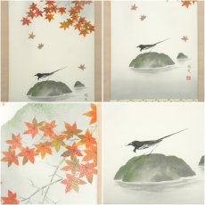 画像6: 郡賜泉筆　秋日　紅葉に小禽　肉筆絹本掛軸（共箱） (6)