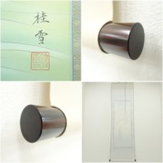 画像7: 滝桂雪筆　翡翠　柳に川蝉　肉筆絹本掛軸（共箱） (7)