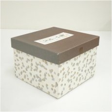 画像5: 原平造　刷毛目茶碗（箱付） (5)