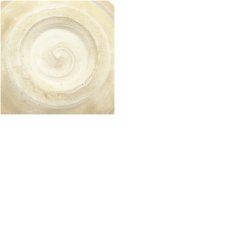 画像7: 神懸焼　室井香悦造　茶碗 (7)